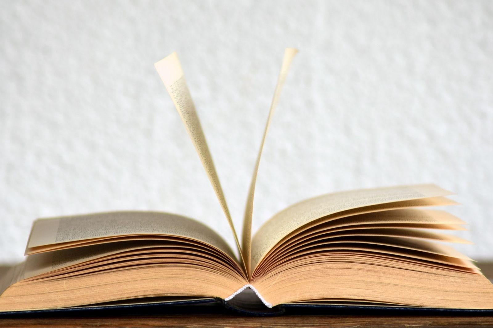 Armenian Language Dictionaries