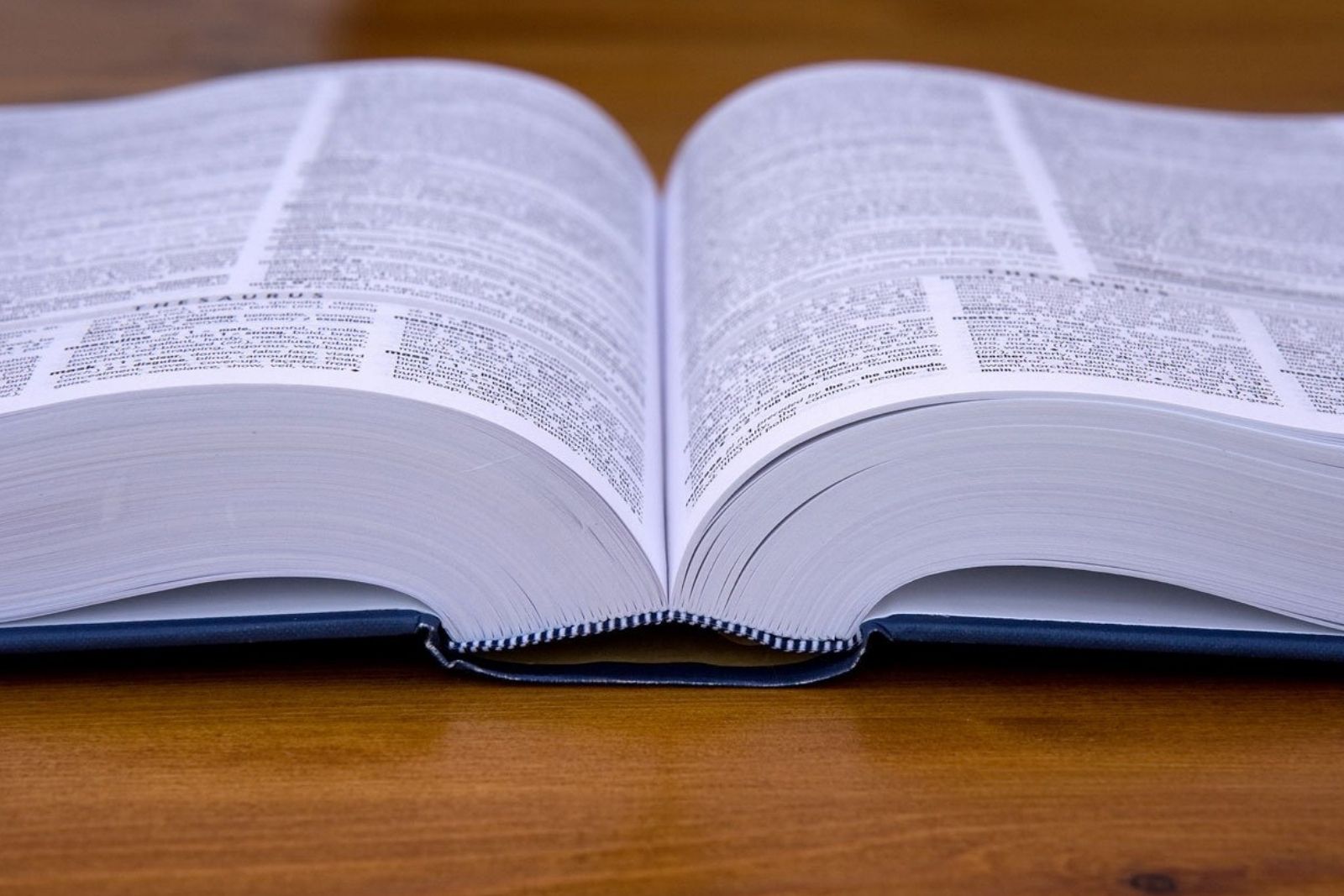 12 Most Important Persian Monolingual Dictionaries
